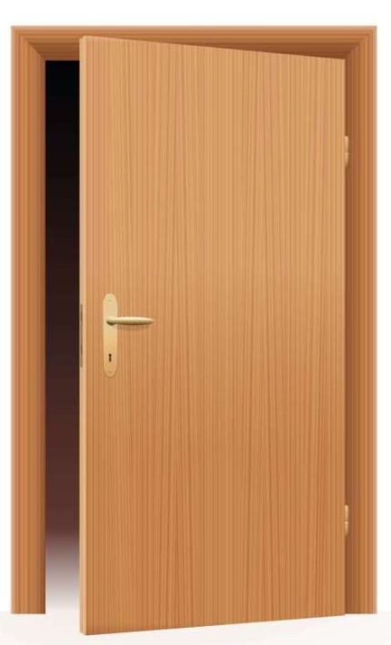 Lanka Plywood Door